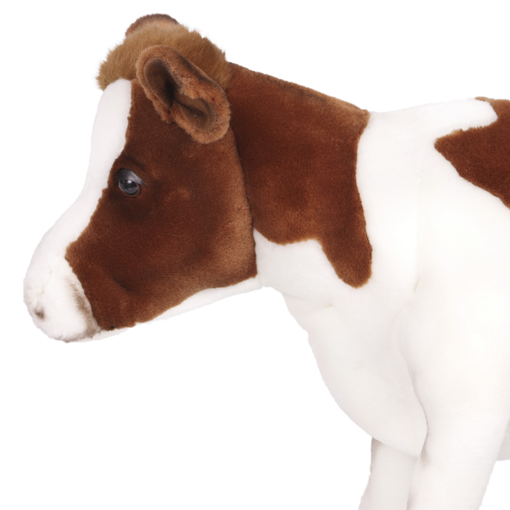 4983 корова, телёнок, коричнево-белая, 52 см