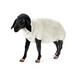 7065 суффолкская овечка, 65 см