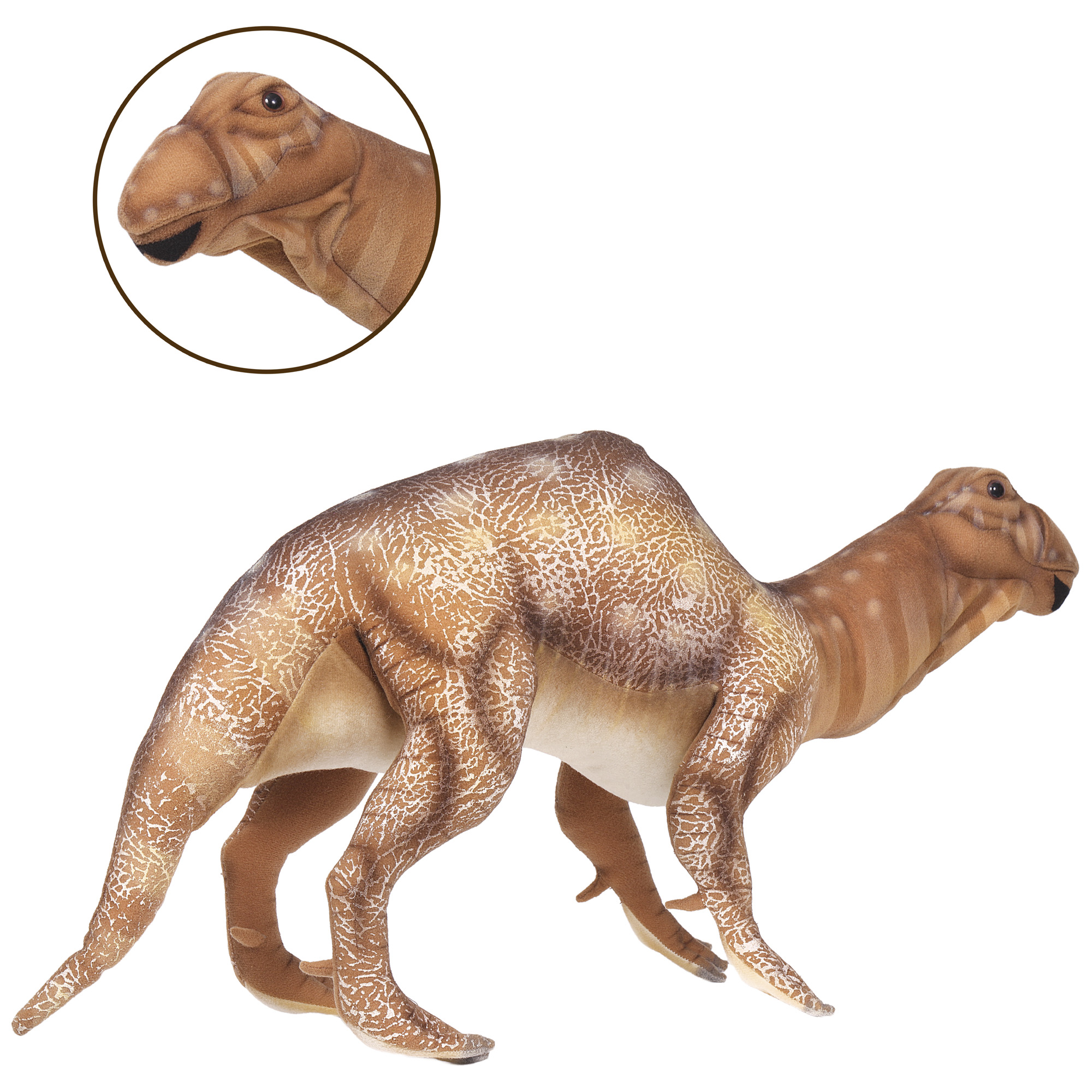7786 динозавр муттабурразавр лэнгдон, 58 см