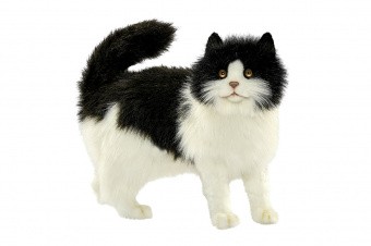 Кошка черно-белая