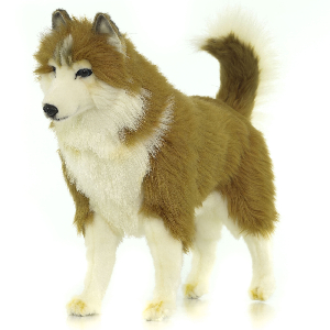 Мягкая игрушка 6494 собака сибирский хаски, палевая, 50 см купить