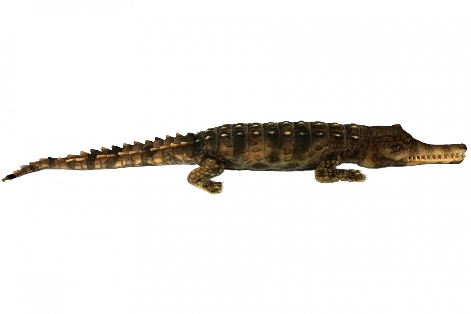 z7748 Крокодил, 260 см