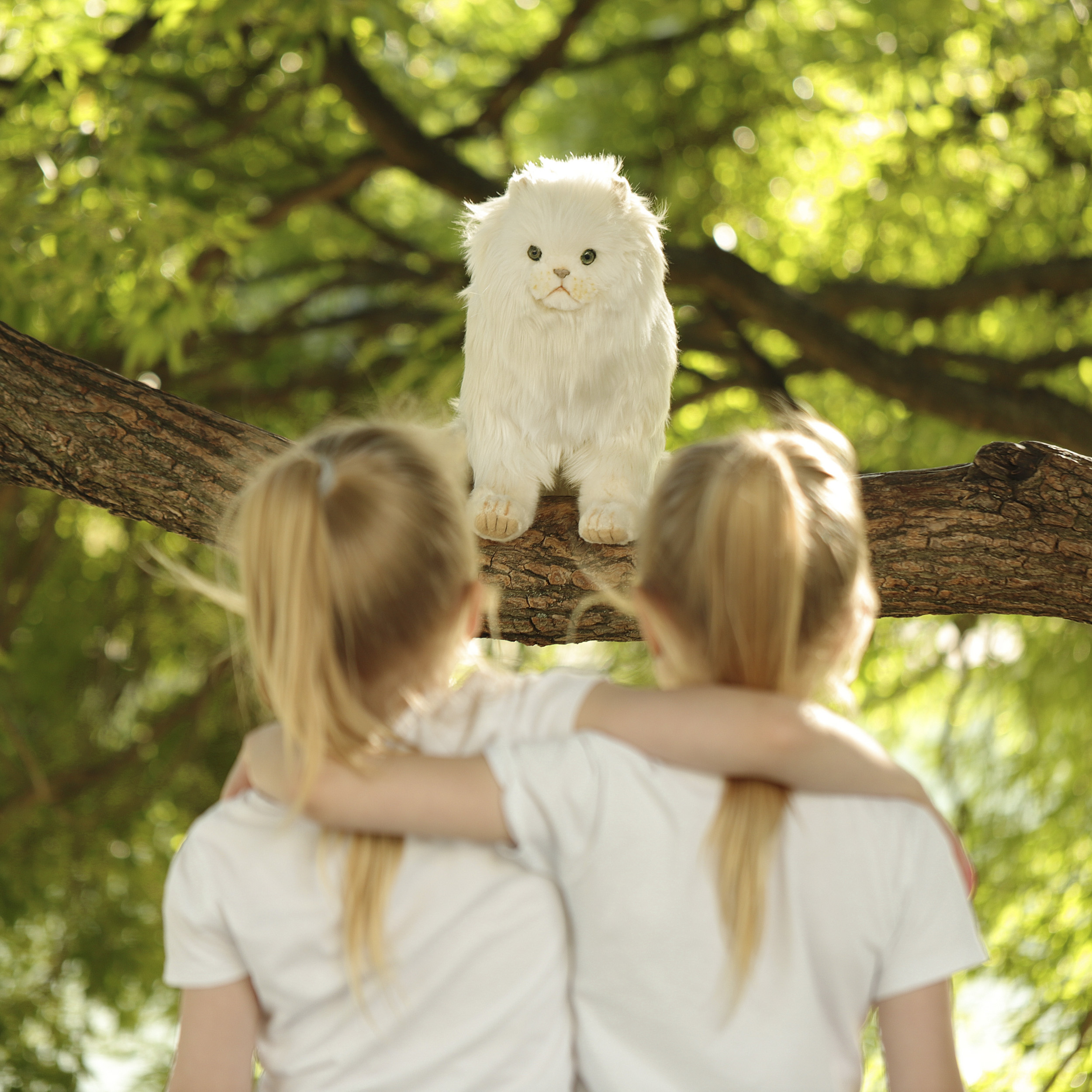 6431 кошка персидская, белая, 40 см