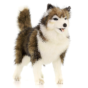 4824 собака сибирский хаски, коричнево-белая, 40 см