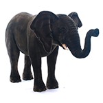 z5430 Слон африканский, 100 см