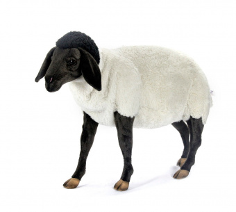 7065 Суффолкская овечка, 65 см