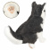 7511 собака сибирский хаски, чёрно-белая, щенок, 33 см
