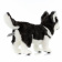 6970 собака сибирский хаски, чёрно-белая, щенок, 20 см