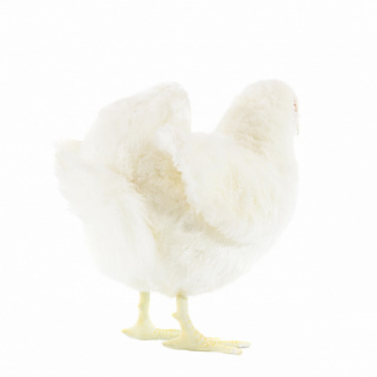 4172 курица белая, 35 см