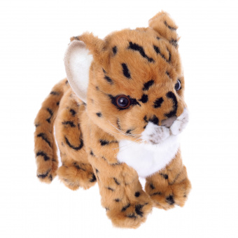 2455 Леопард амурский, детёныш, 16 см