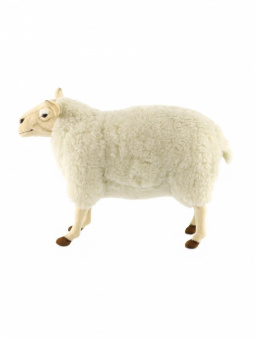 4998 овечка, 35 см