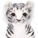 7306 Тигр амурский, детеныш, белый, 33 см