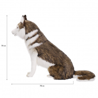 7451 собака сибирский хаски, коричневая, 78 см
