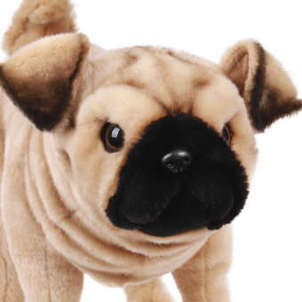 Мягкая игрушка 5951 собака мопс, 38 см купить