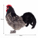 6037 курица эльзасская, 34 см