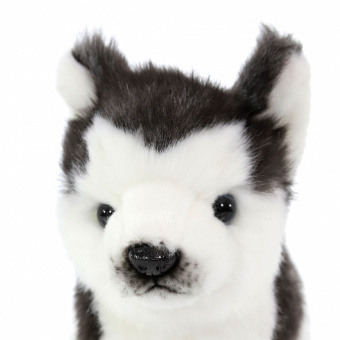 Мягкая игрушка 6970 собака сибирский хаски, чёрно-белая, щенок, 20 см купить