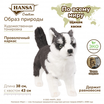 7512 собака сибирский хаски, чёрно-белая, щенок, 43 см