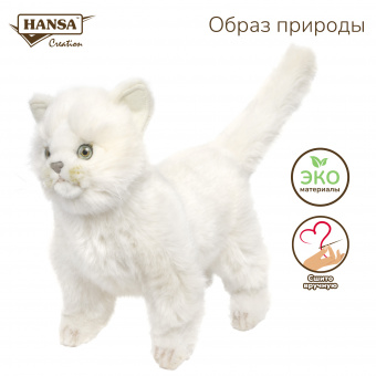 6434 котёнок, белый, 29 см