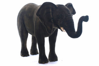 z5430 Слон африканский, 100 см