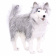 6034 Собака сибирский хаски, серая, 75 см