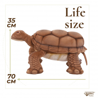 6595 Черепаха галапагосская (банкетка), 70 см