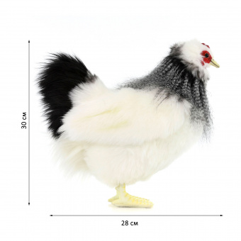 5620 курица французской породы, 30 см