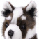 5269 собака сибирский хаски, чёрно-белая, щенок, 25 см